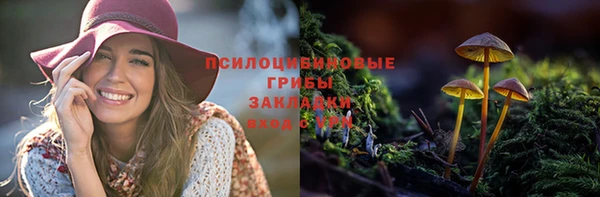 дживик Липки