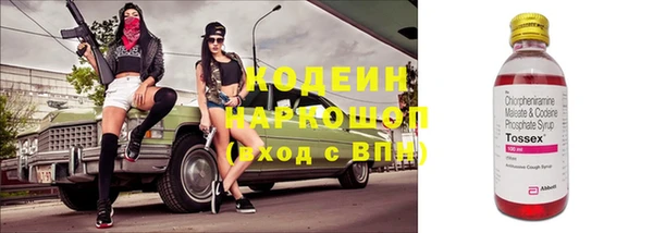прущие грибы Ладушкин