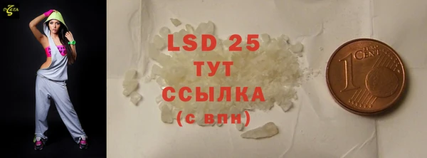 прущие грибы Ладушкин
