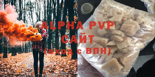 прущие грибы Ладушкин